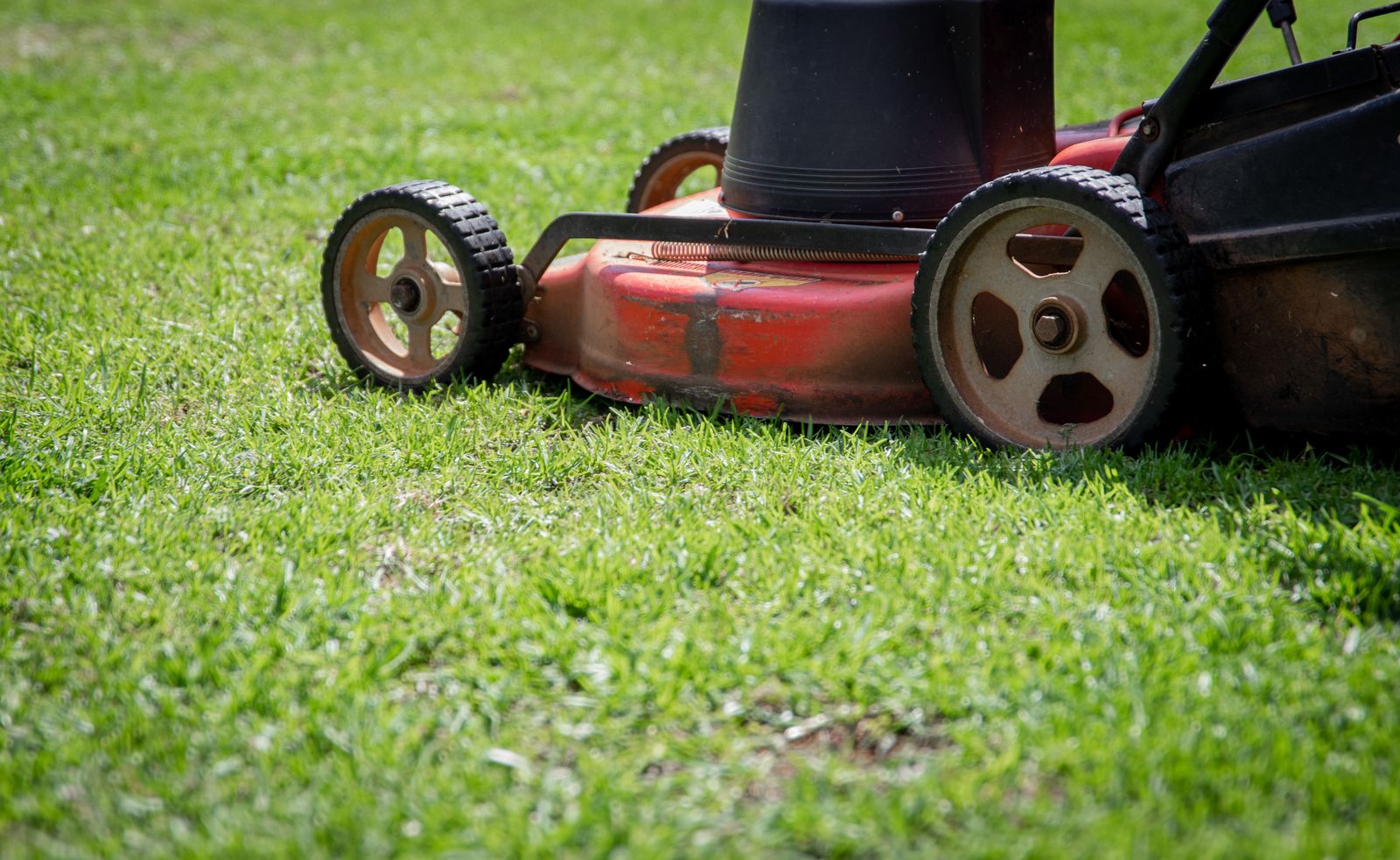 Gartenpflege & Unterhalt